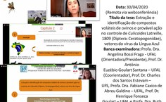 Defesa de Raisa Rodrigues dos Santos Rios