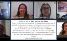 Defesa de tese de Maria Gabriella Silva Araújo