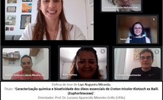 Defesa de tese de Lays Nogueira Miranda