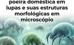 Agenda: RENORBIO AL no SINPETE 2026 (Biotecnologia e Alergias Respiratórias)
